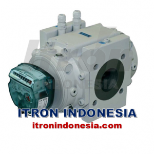 GAS METER ITRON ROTARY METER DELTA - Distributor GAS METER ITRON ROTARY METER DELTA - Jual GAS METER ITRON ROTARY METER DELTA - Agen GAS METER ITRON ROTARY METER DELTA - Supplier GAS METER ITRON ROTARY METER DELTA