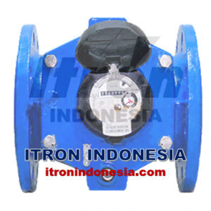 Water meter Itron 5 Inch