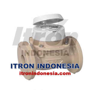 flow-meter-itron-woltmag-m-itron-2″-itron-50mm